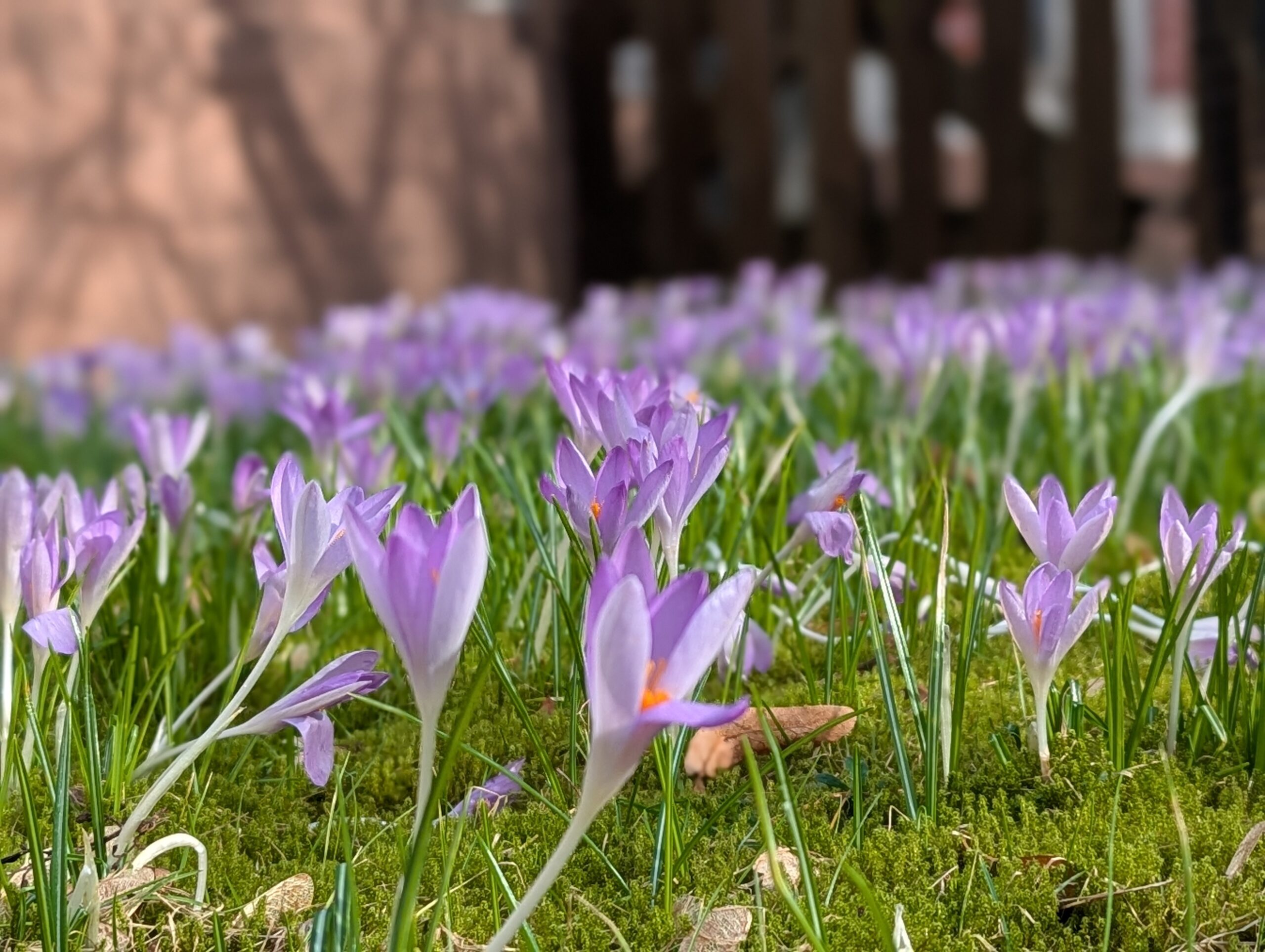Fotografischer Rückblick auf die CTF / Gravelride 2026